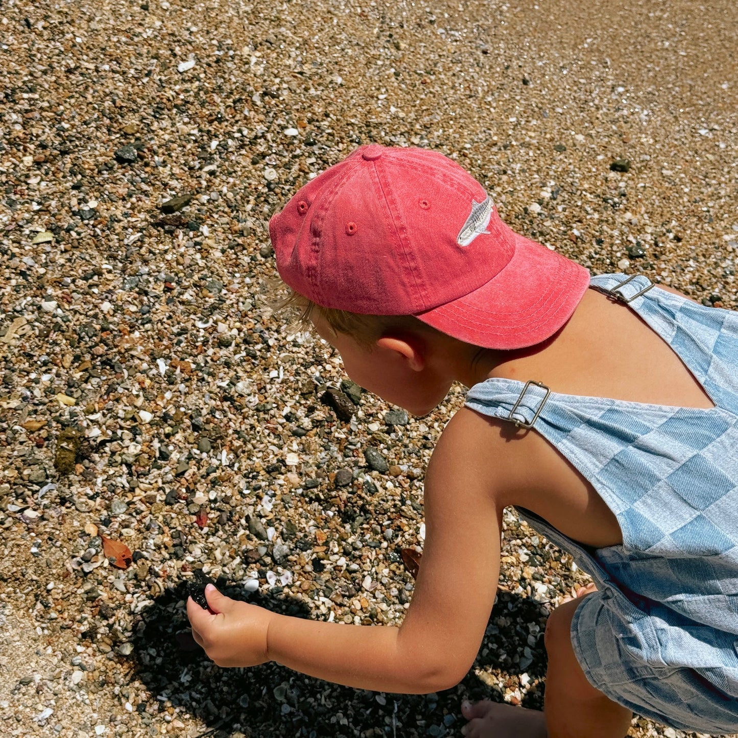 Pallion Point Kids Tiger Shark Lid