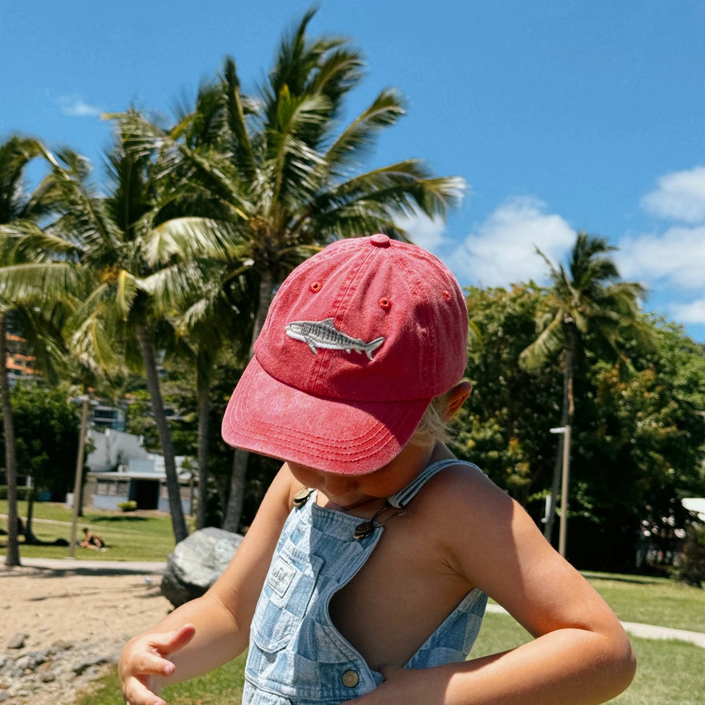 Pallion Point Kids Tiger Shark Lid