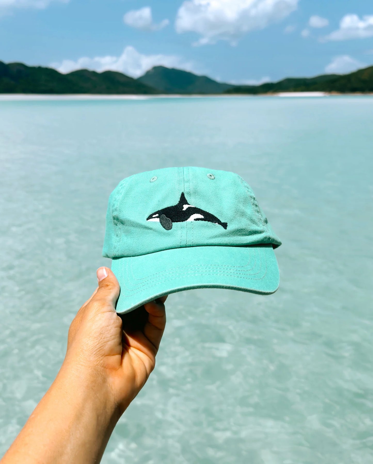 Pallion Point Orca Lid